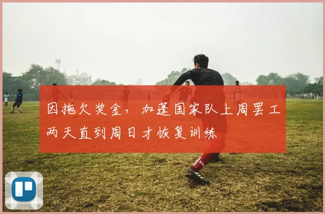 因拖欠奖金，加蓬国家队上周罢工两天直到周日才恢复训练